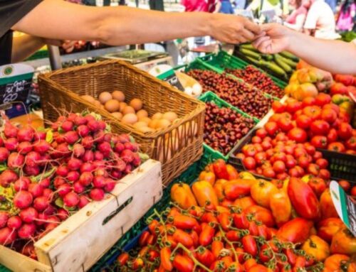 Impuls de la comercialització i la distribució del sector primari de Micropobles