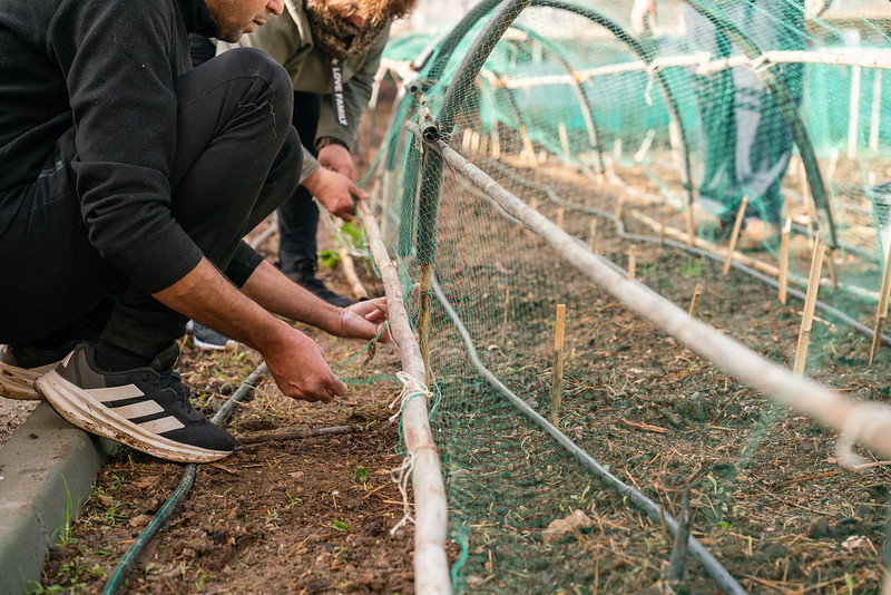 IHP Program Food Systems