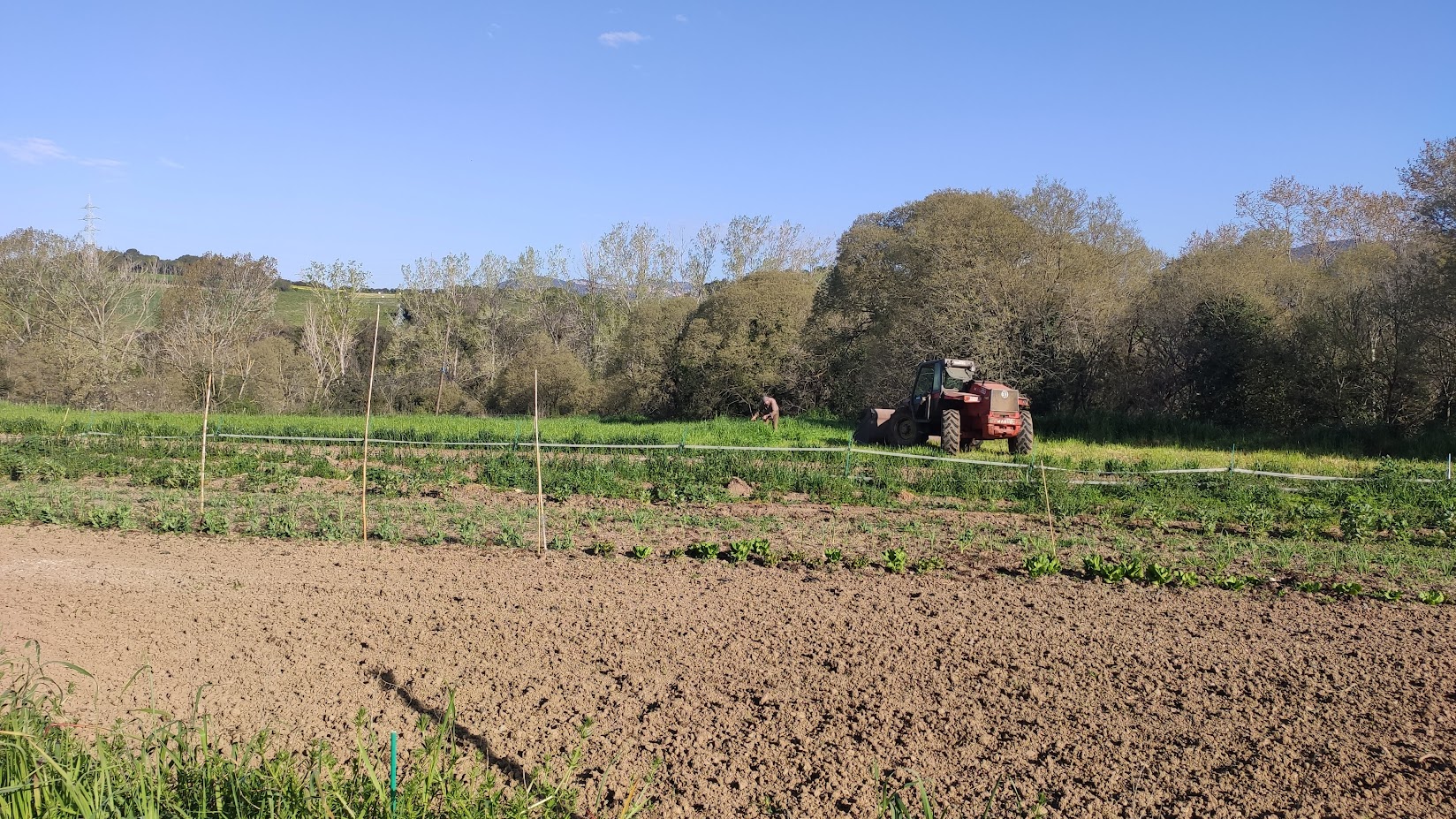 Banc de terres i DLAe a St Esteve de Palautordera