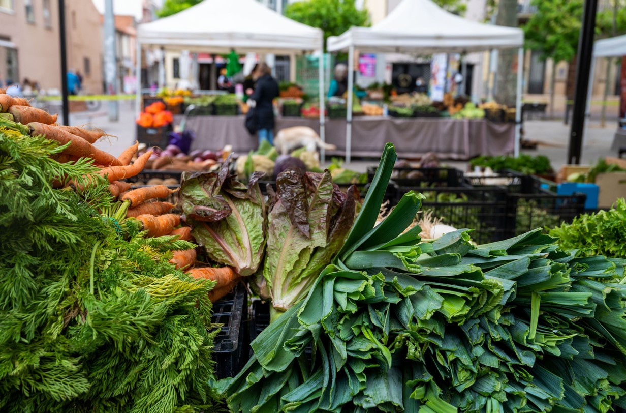 Dinamització agroecològica a Palou – Granollers